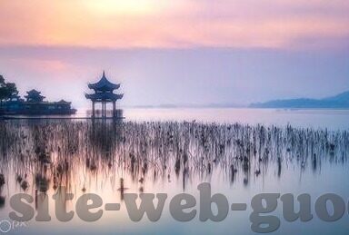 av麻豆精品-AV麻豆精品，喧嚣背后的深思