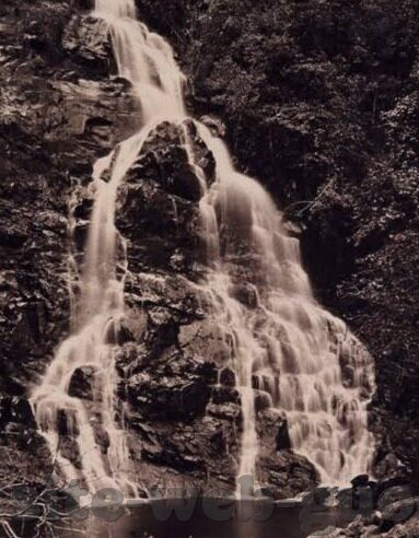 大象传媒app黄-大象传媒APP，数字时代的文化传播新视角