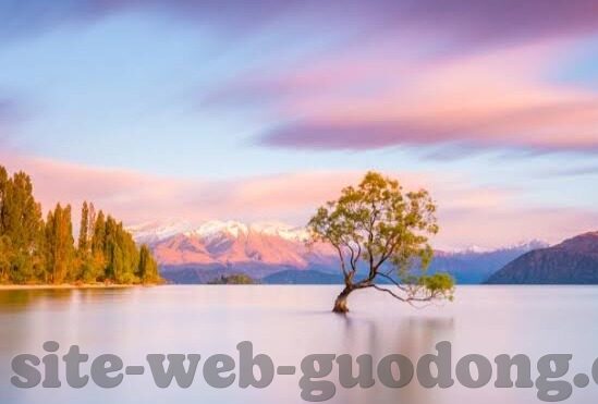 麻豆传媒app免费网站-洞悉互联网暗流，免费与诱惑的灰色地带——麻豆传媒app的启示与警醒