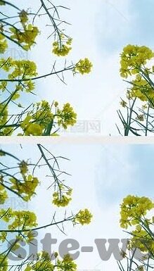 麻豆传媒视频资源-麻豆传媒视频资源与当代文化多元性