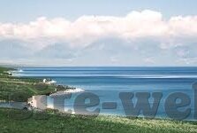 麻豆经济视频国产-麻豆经济，国产视频的独特魅力与前景展望