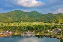 在线视频 麻豆 91-聚焦网络新生态，麻豆91与在线视频的多样魅力